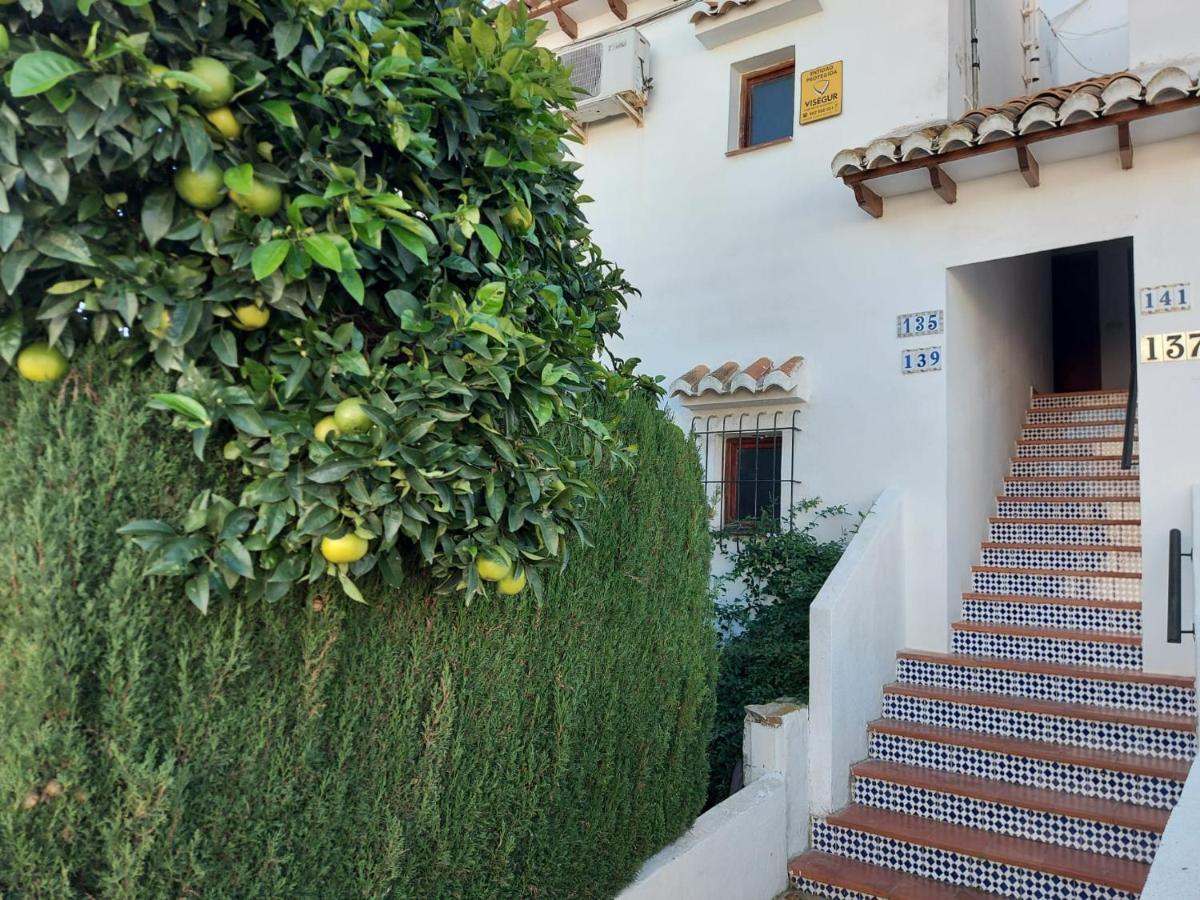 Bebi Casa Apartment Τορεβιέχα Εξωτερικό φωτογραφία